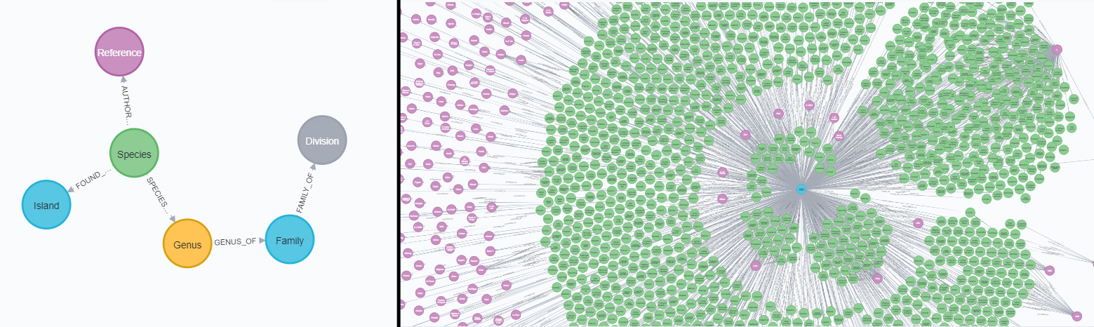 Database scheming – 17 Jan 2021 – The Transcognited Orchid