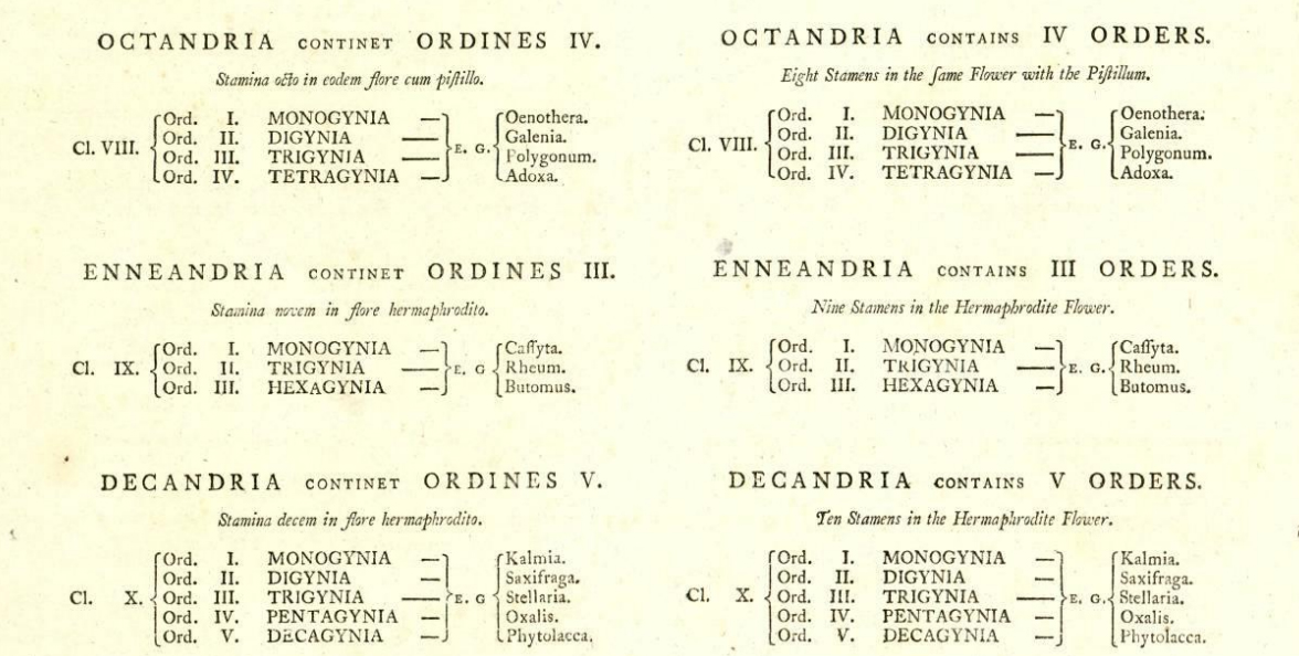 Factcheck: “It was first described in Linnaeus’s Species Plantarum,” Pt ...